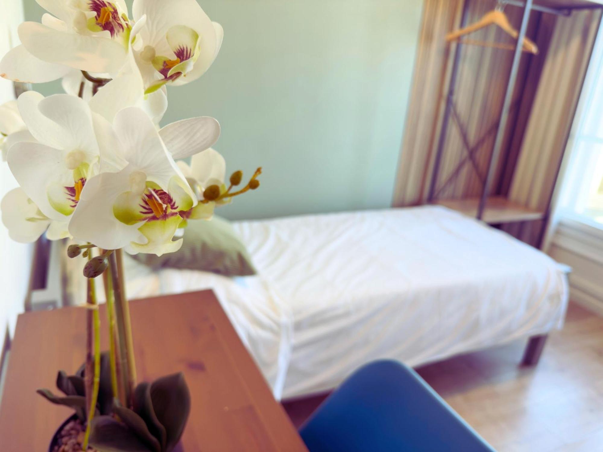 L'Escale Appartements Et Suites En Bord De Mer Le Havre Exteriér fotografie